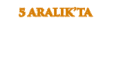 Adile Sticker by BKM Online
