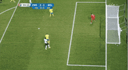 euro 2016 GIF by Sporza