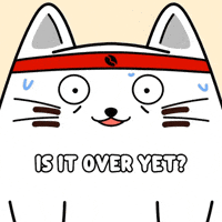 White Cat Help GIF by MESA My Emotional Support Animal
