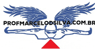 marcelodsilva saúde investimento profmarcelodsilva GIF