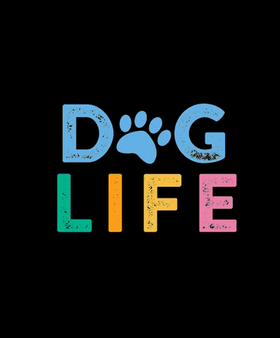 HGHPets giphygifmaker dog paws dog life GIF