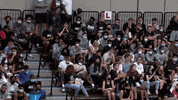 Celebration Dancing GIF by Brown Volleyball