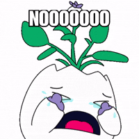 Cry No GIF by Magic Eden