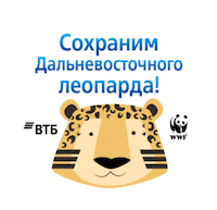 Leo Save Sticker by VTB
