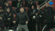 Premier League Celebration GIF by MolaTV