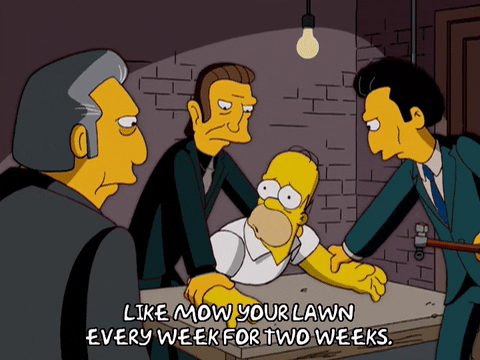 homer simpson GIF