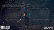 Martial Arts Fighting GIF by Max