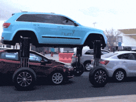 traffic speak GIF