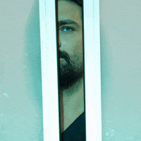 Fox Foxturkiye GIF by NOW