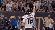 National Football League GIF by NFL