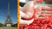 Youtube Video GIF by tyler oakley