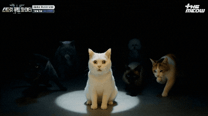 틴더스 GIF
