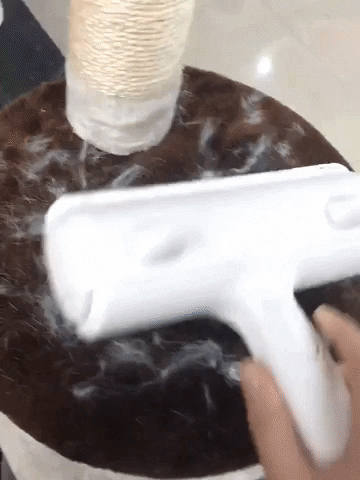 caiobergamo giphygifmaker GIF