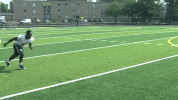 football GIF by Marian University