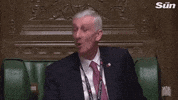 uk parliament speaker of the house lindsay hoyle sir lindsay hoyle GIF