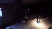 topshelf records prawn GIF