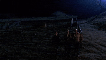 Night Wow GIF by Malcolm France