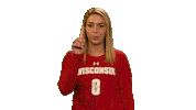 Wisconsin Volleyball No Sticker by Wisconsin Badgers