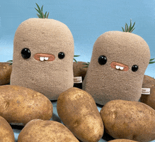 Tater Tots Hello GIF by Flat Bonnie