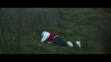 wilderpeople GIF by The Orchard Films