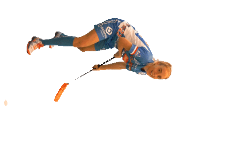 Floorball Salibandy Sticker by F-liiga