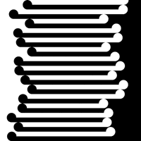 New Zealand Loop GIF by xponentialdesign