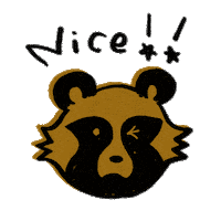 Ru66ishGame nice wink raccoon いいね Sticker