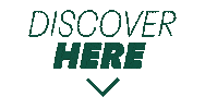 Henkel Discover Here Sticker by Henkel