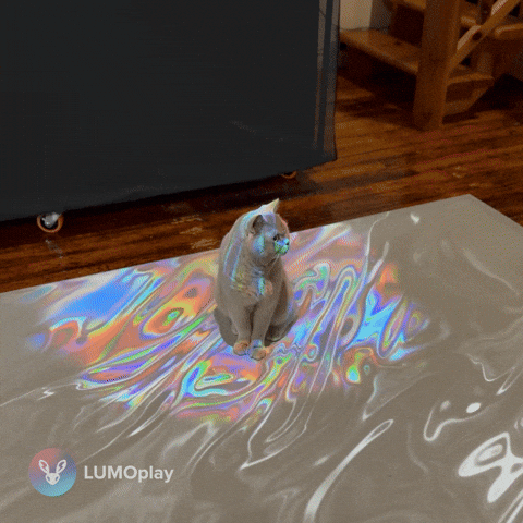 Interactive Floor GIF by LUMOplay