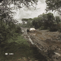 Bad Luck Monday GIF by FIA World Rally Championship