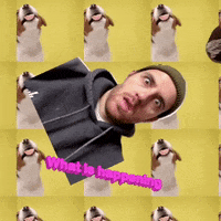 What Is Happening GIF by hamlet