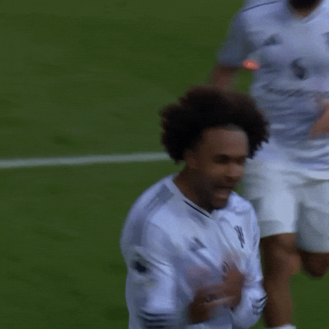 Celebration Fire GIF by Manchester United