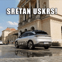 Happy Chicken GIF by Verne Robotaxi