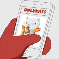 Cat GIF by Kitaro World