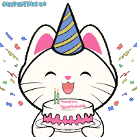 Happy Birthday Cats Sticker by Silly Kitties