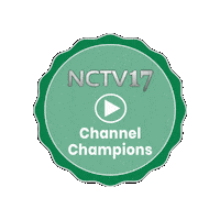 napervillecommunitytv17 television community illinois nonprofit Sticker