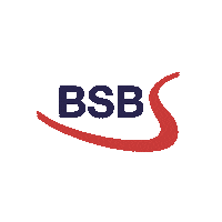 Bsb Sticker by Belgium Rugby