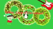 dude york christmas GIF by Hardly Art