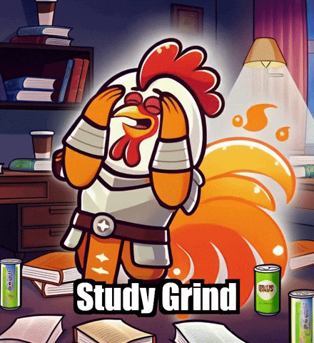 Exams Allnighter GIF by Zorooster