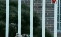 kpop god k-pop k pop stalker GIF