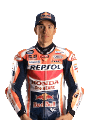 Honda Celebration Sticker by Box Repsol