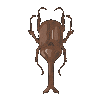 Illustration Drawing Sticker