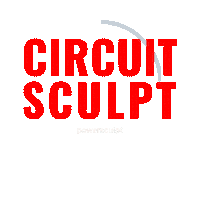 Workout Chicago Sticker by Power Sculpt Fitness