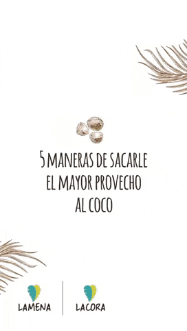 vidamena giphyupload GIF