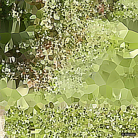 art geometry GIF by Michel Poisson