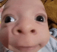 Amongtuff GIF