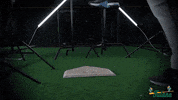 Tulane Rollwave GIF by GreenWave