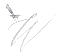 thewhitewren the white wren white wren the white wren blog Sticker