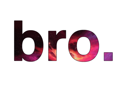 bro Sticker