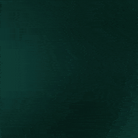 Channelfest GIF by Channel Seed